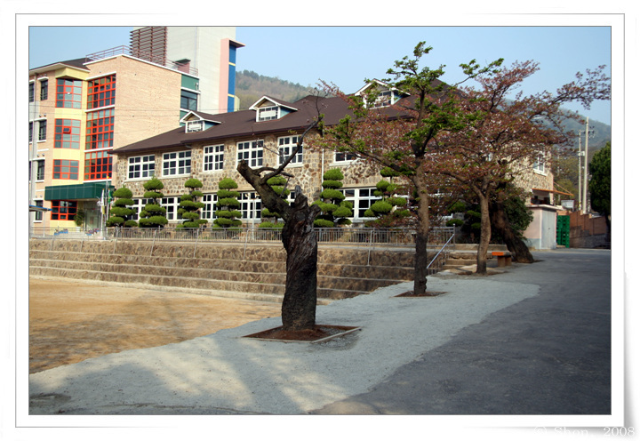순천 매산중학교 이미지