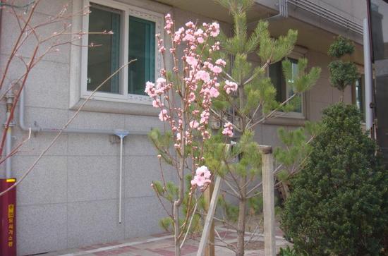 커피림 이미지