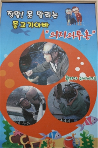 마을물고기 이미지