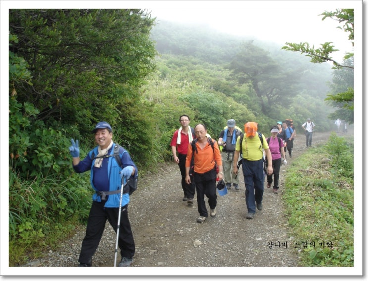 가비상회 이미지