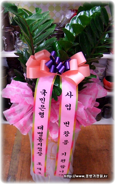 오무선미용실 이미지
