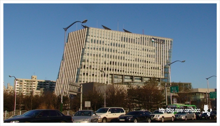 나루건축사사무소 이미지