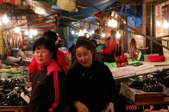 단대목 이미지