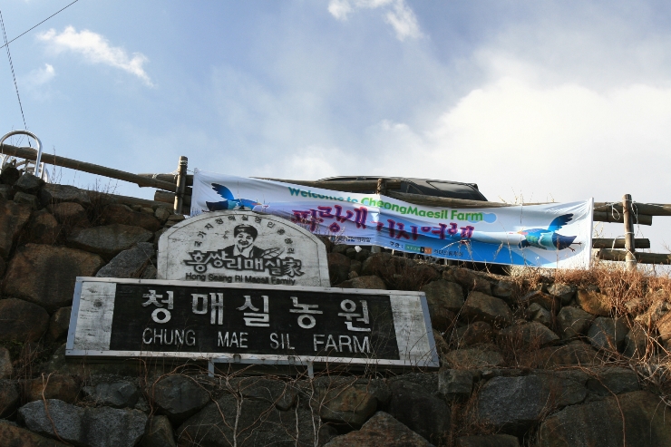 심씨농원 이미지