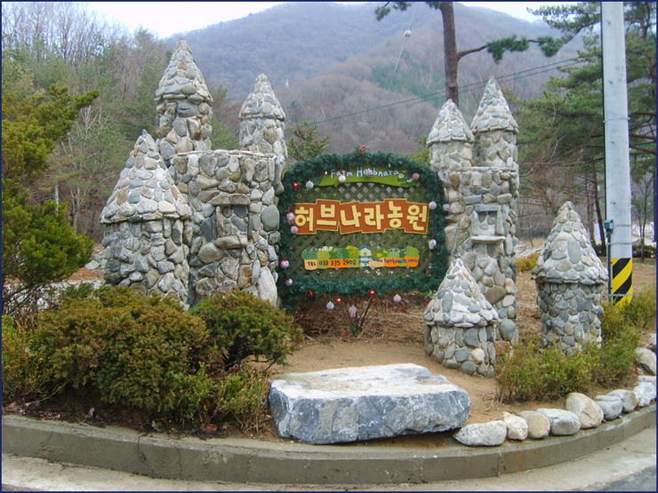 허브나라 이미지