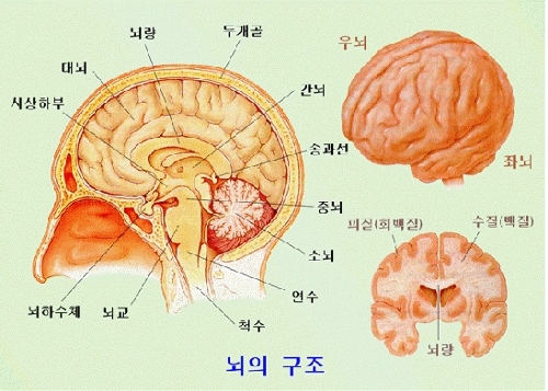 우리아이교육 이미지