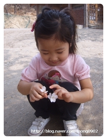 조이풀랜드 이미지