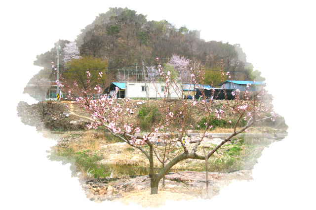 큰바위펜션 이미지