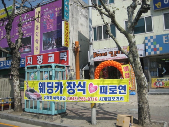 이벤트벌룬포유 이미지