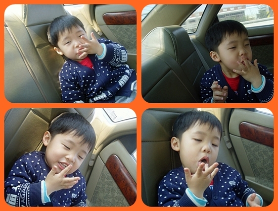 새단장봄단장 이미지