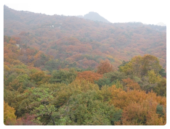 스카이아카데미 이미지
