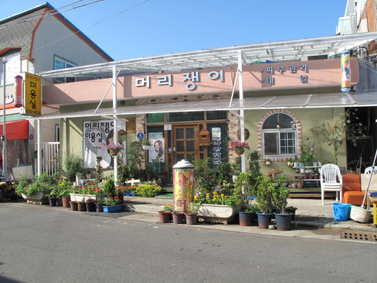 머리쟁이 이미지