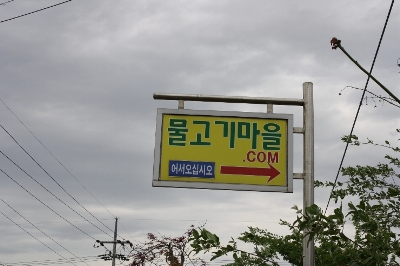 마을물고기 이미지