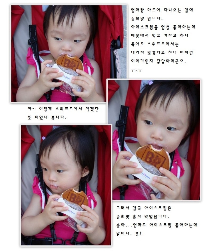 스위프트랜드 이미지