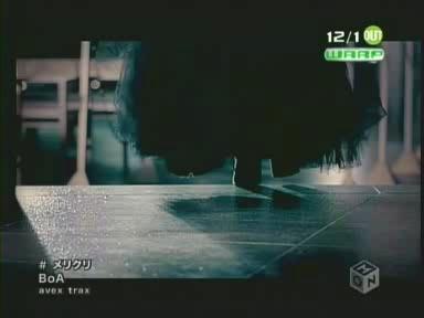 메리보아 이미지