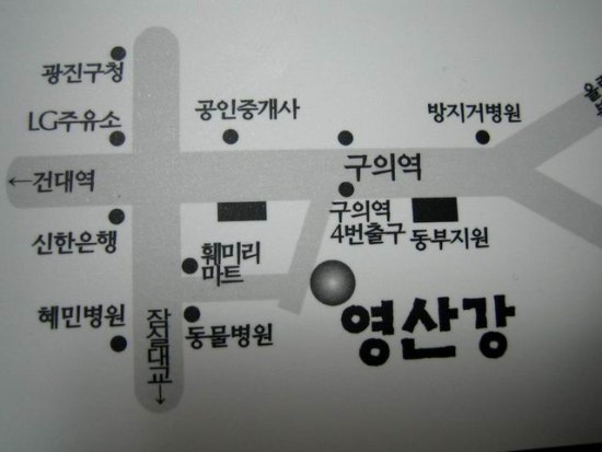 영산강홍어 이미지