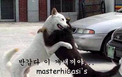 복 이미지