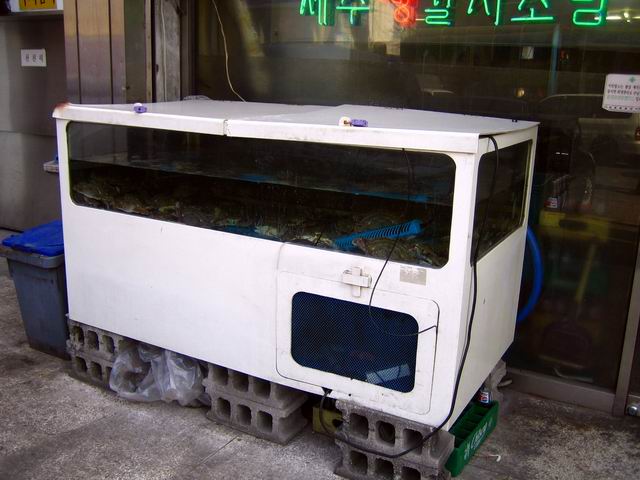 초원주유소 이미지