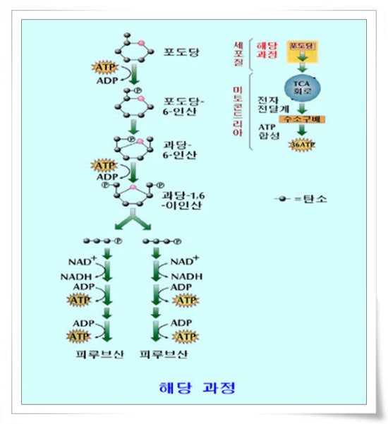 킴볼 이미지