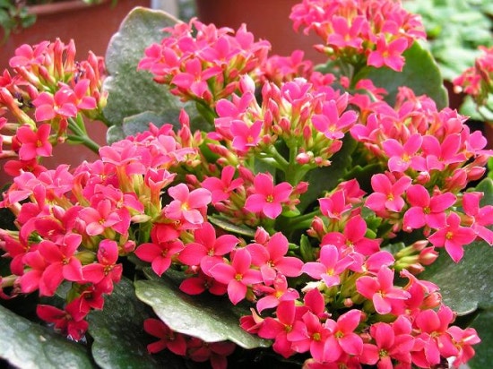 뷰티플건강 (Beautiful Health) 이미지