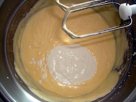 사우어(SOUR) 이미지