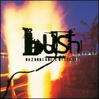 부쉬(bush) 이미지