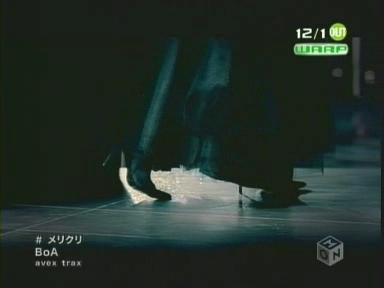 메리보아 이미지