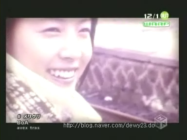 메리보아 이미지
