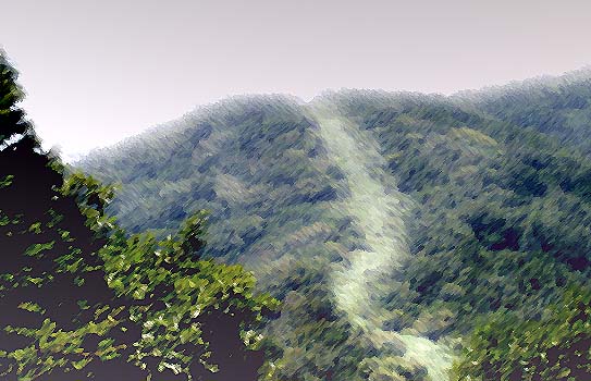 산길 이미지