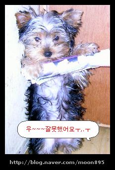 봉이네 이미지