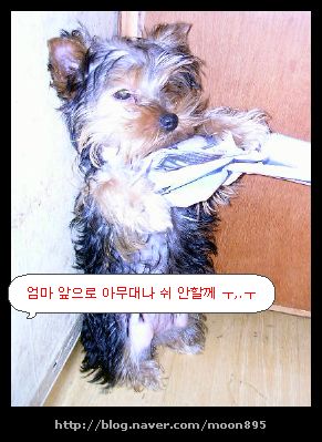봉이네 이미지
