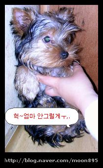 봉이네 이미지