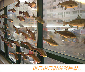 설가 이미지