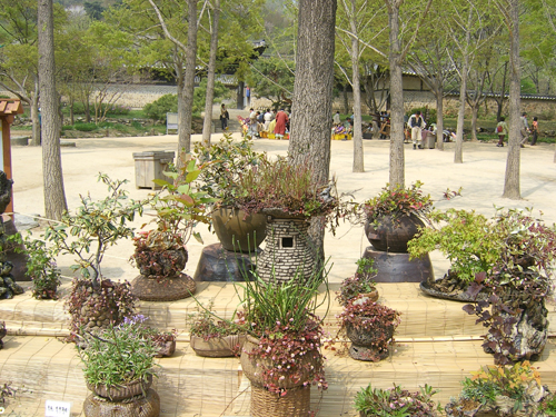 그린도예 이미지