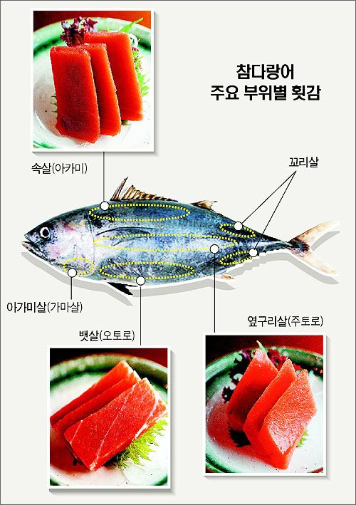 철참치 이미지