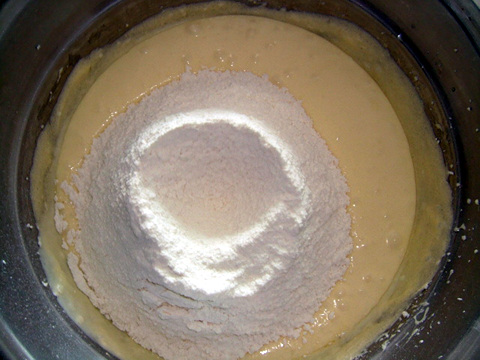 사우어(SOUR) 이미지
